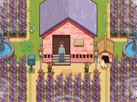 village rhapsody walkthrough.